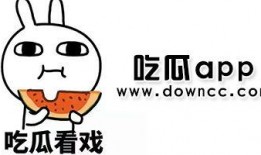 网红吃瓜黑历史,揭秘那些被遗忘的瞬间